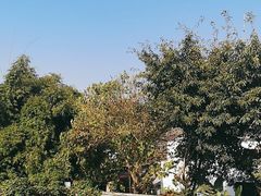 -三圣花乡旅游区