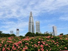 -深圳湾公园(南山区)