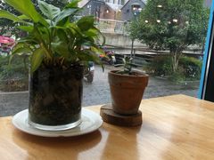 -yes or no(南部商务区店)