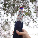 樱花季怎么少得了嘉士伯1664桃红啤🥂