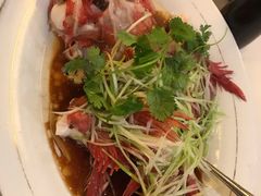广式蒸红斑鱼-新港海鮮