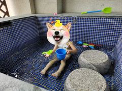 -碧桂园润杨溪谷温泉酒店