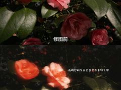 -仙林中心(地铁站)