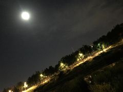 -Tims天好咖啡·贝果(东方广场店)