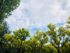 -永定河休闲森林公园