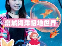 -泉城欧乐堡海洋极地世界