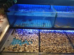 -透明思烤·自助烤肉海鲜火锅(东部星悦天地店)