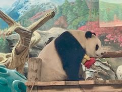 -武汉动物园