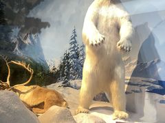 -陕西自然博物馆