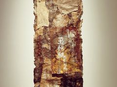 -上海当代艺术博物馆