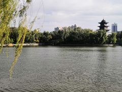 景点-迎泽公园