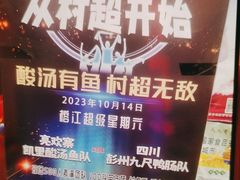 -亮欢寨酸汤鱼(沙冲路店)