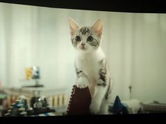 -博纳国际影城(凯德广场店)