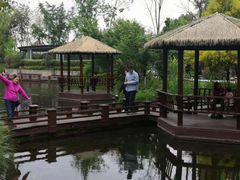 -成飞公园