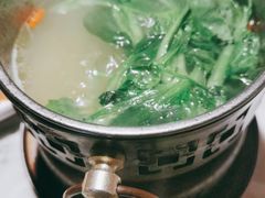 水煮鸡毛菜-初蓉丨遇见新川菜(亲贤街荣耀店)