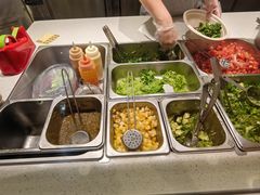 -油梨树 AVOCADO TREE(亮马桥店)