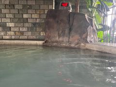 -汤乐汇•足道•SPA生活馆