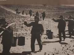 -塞罕坝国家级自然保护区