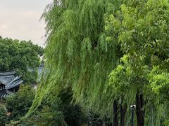 -浙江西子宾馆·瑶园咖啡厅