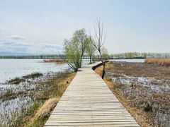 -野鸭湖国家湿地公园