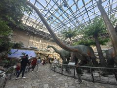 -国家自然博物馆