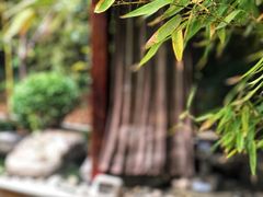 -楼观道温泉酒店