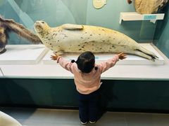 -国家自然博物馆