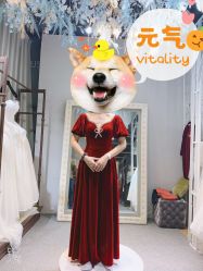 -韩国天使嫁衣婚纱礼服馆(上海旗舰店)