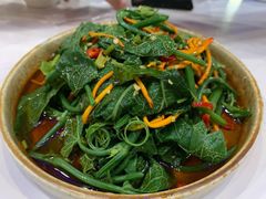 清炒丝瓜尖-滇越乘象云南餐厅(豆各庄店)