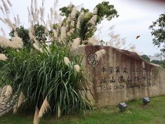 -鸿山遗址博物馆