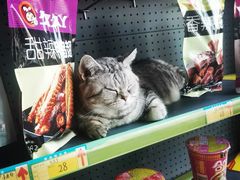 -木沐影咖(鑫乐汇购物广场店)