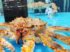 -麦德龙(郑东店)