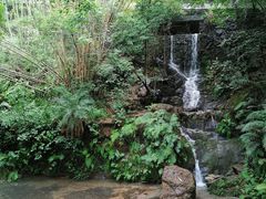 -大雁山风景区