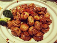 -金蝉食府(维吉奥广场店)