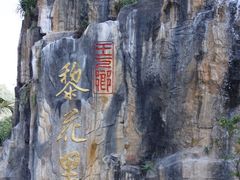 -海南霸王岭国家森林公园