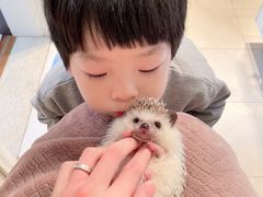 -藦茜花园宠物主题亲子互动体验馆(国顺东路店)