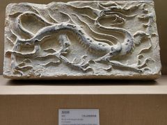-敦煌市博物馆
