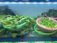 -重庆鸡公煲·青锅花椒鱼(牡丹江路店)