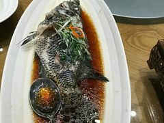 清蒸海鱼-仁记海鲜餐厅美食店