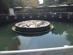 -成都市活水公园