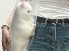 -FAELING PETS美天灵宠物(合生汇店)
