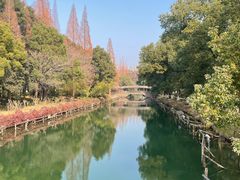 -尚湖风景区