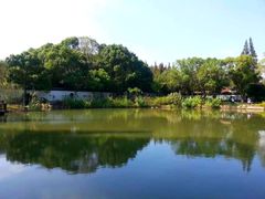 -瀛洲公园