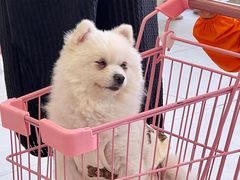 -怪兽屋·羊驼·猫咖·狗咖(俊华广场店)