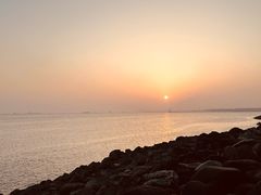 -上海吴淞炮台湾国家湿地公园