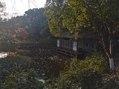 -新洲生态园