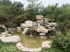 -思念果岭悦温泉