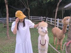 -云栖山谷野奢营地