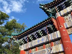 -云岗森林公园