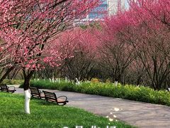 -重庆中央公园(渝北区)